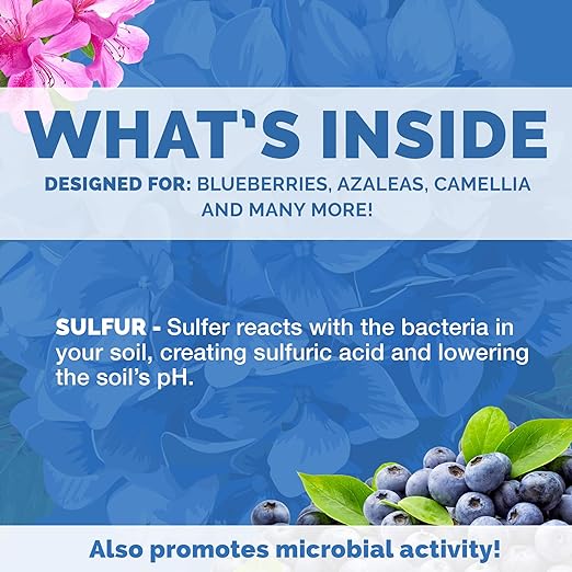 Bloom City Organic Soil Acidifier – Lowers Soil pH for Blueberries, Hydrangeas & Acid-Loving Plants, 8 oz