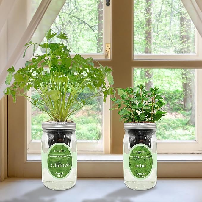 2-Pack Hydroponic Mason Jar Herb Garden Kit, Indoor Herb Garden Self-Watering Starter Kit, New Christmas Gift for Mom (Cilantro,Mint)