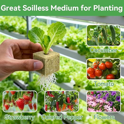 Halatool 200PCS 1 Inch Rockwool Cubes - Rock Wool Seed Starter Plugs for Seedling Starter, Hydroponic Gardening, Soilless Cultivation & Plant Cloning (4Sheets)