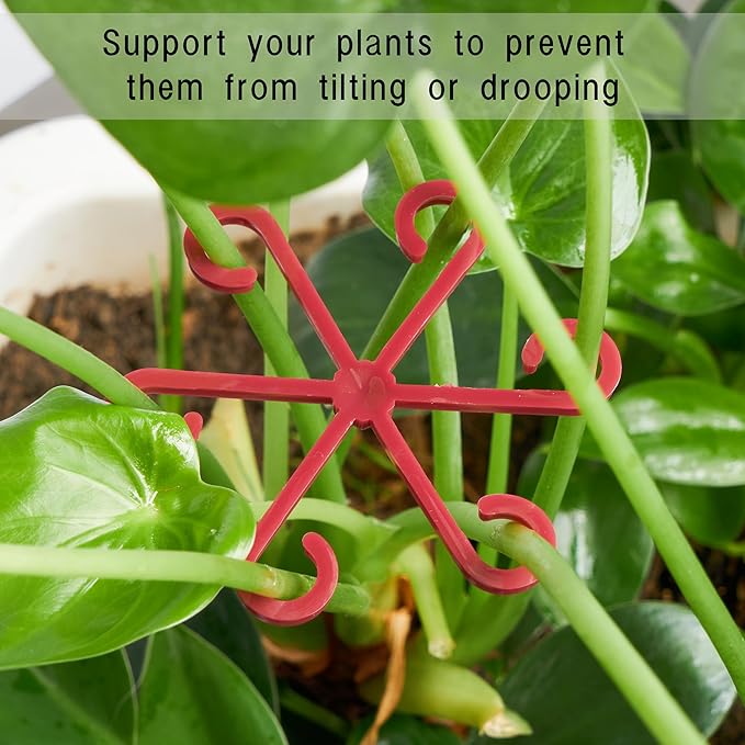 8/16/32PCS Plant Stem Support,4 Sizes Set,Plastic Stems Holder for Indoor Plants, Reusable Stem stabilizer,Keeps Potted Houseplants Growing Straight (16, Red)