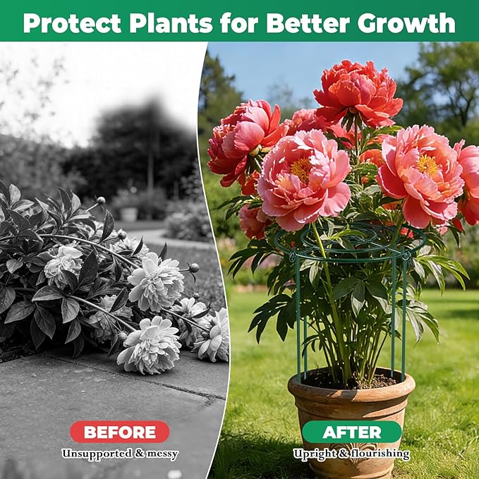 QwayHome 3Pack Peony Cages and Supports, 33'' H x 13''D Grow Through Plants Support, Adjustable High, Heavy Duty, Rust-Resistant, Round Plant Support Ring for Rose Tomato Strawberry Indoor Outdoor