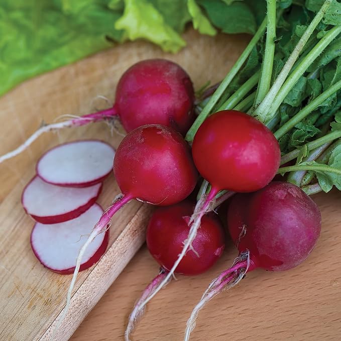 Burpee Organic Cherry Belle Radish Seeds - Fast, Classic Round Radish