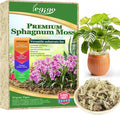 Legigo 5.3oz Natural Sphagnum Moss for Plants, 6QT Long Fiber Orchid Moss Potting Mix, Dried Sphagnum Moss for Plants Indoor, Orchid Repotting, Succulent, Carnivorous Plants, Terrarium and Reptiles