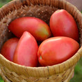 Sheboygan Heirloom Paste Tomato - 50 Seeds - Heirloom & Open-Pollinated Variety, Non-GMO Vegetable Seeds for Planting in The Home Garden, Thresh Seed Company