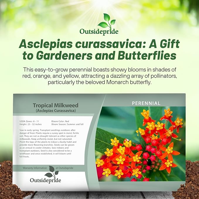 Outsidepride Tropical Milkweed Seeds - 1000 Pcs Perennial, Heat & Humid Tolerant, Pollinator-Friendly Wildflower Seeds, Ideal for Monarch Butterflies, Cut Flowers, Borders, or Meadows