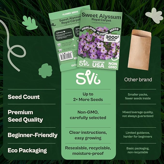 SVI 3000 Royal Carpet Sweet Alyssum Seeds (Lobularia maritima) – Sweet Alyssum Flower Seed Packets Bulk – Perfect Ground Cover Purple Flower Seeds for Outside, Containers, Borders