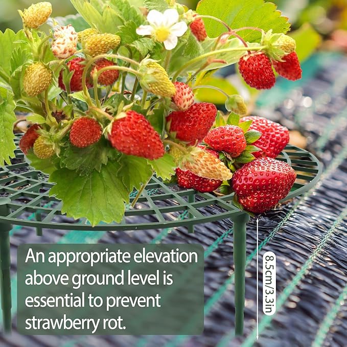 4 Sets Strawberry Plant Support with Mesh Plant Cover,Strawberry Growing Racks Sets with Iron Plant Nails and Storage Bag for Garden Strawberry Vegetables(Green Net - Round)