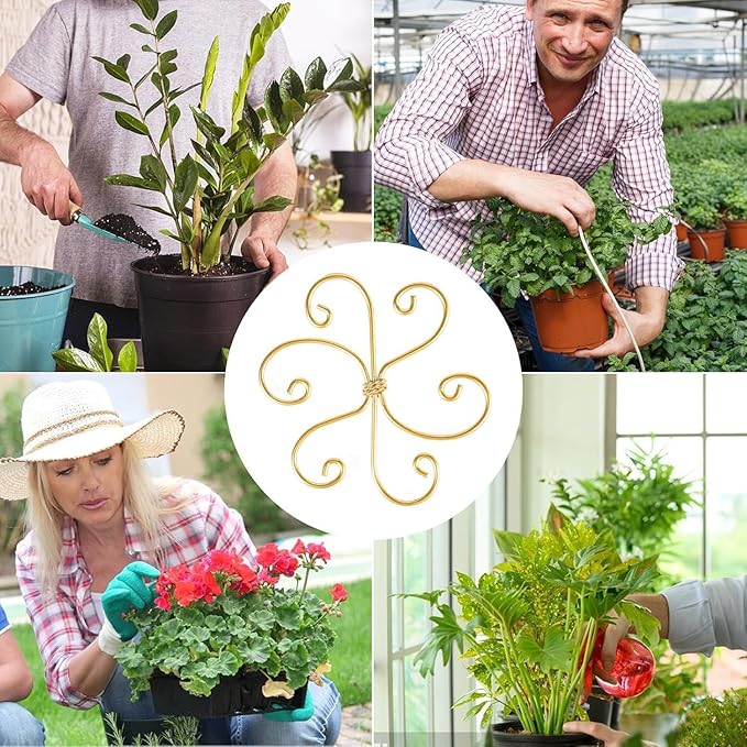 5 Pcs Plant Stem Support, Iron Monstera Plant Support, Durable Hook Stem Supports for Healthy Growth, Bamboo Clamp Set for Leaf Stabilization and Support, Ideal Present for Plant Lovers (6.5IN*6.5IN)