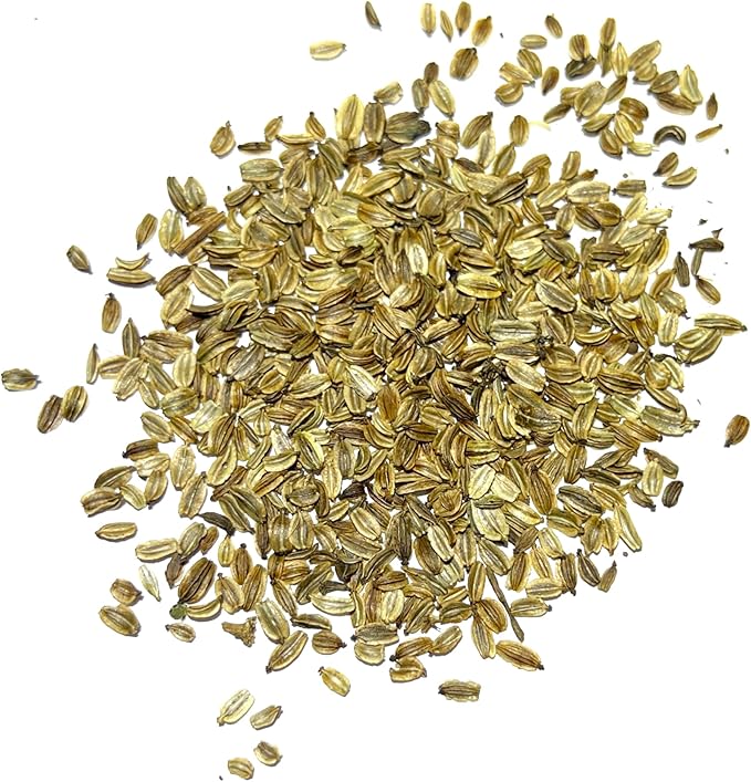 Seed Needs Lovage Seeds for Planting - Non-GMO Heirloom & Untreated Herbs to Plant a Medicinal/Culinary Home Grown Herb Garden Indoors or Outdoors (1 Pack)