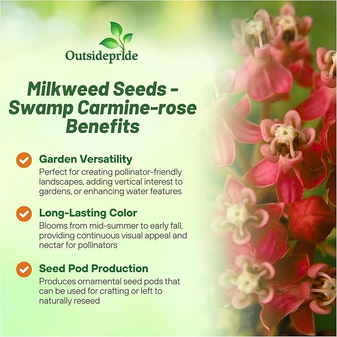 Outsidepride Carmine Rose Swamp Milkweed Seeds - 500 Pcs Perennial, Heat & Humid Tolerant, Pollinator-Friendly Wildflower Seeds, Ideal for Monarch Butterflies, Cut Flowers, Borders, or Meadows