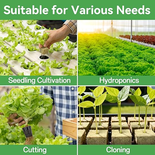 Halatool 200PCS 1 Inch Rockwool Cubes - Rock Wool Seed Starter Plugs for Seedling Starter, Hydroponic Gardening, Soilless Cultivation & Plant Cloning (4Sheets)