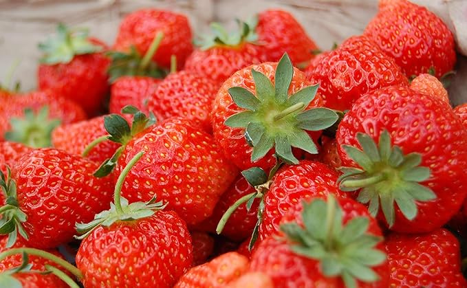 Sweet Red Strawberry Seeds 300pcs for Home Garden Planting