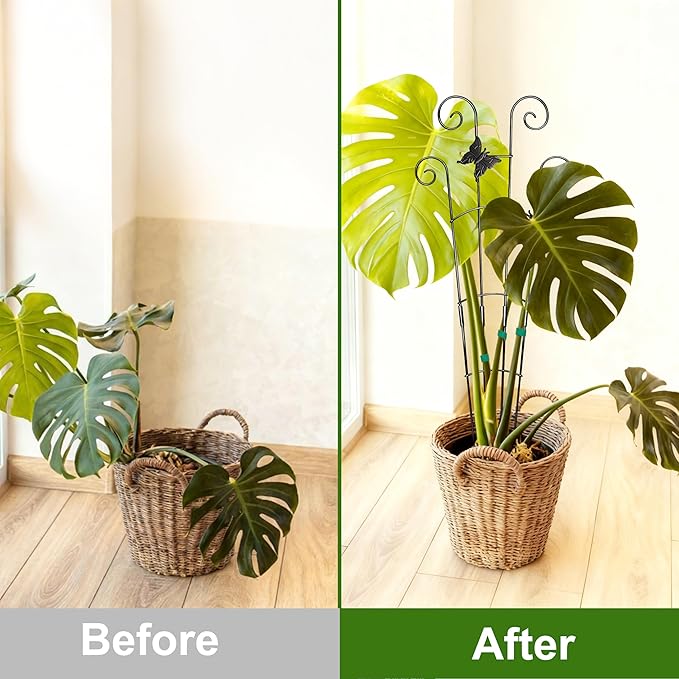 COOMIN 30'' Monstera Plant Support Outdoor, Metal Expandable Plant Supports for Indoor Plants, 2P Garden Trellis for Climbing Plants Indoor - Ivy, Pothos, Philodendron, Hoya