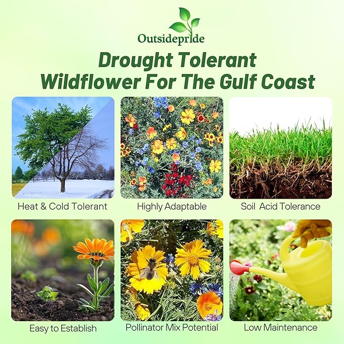 Outsidepride Gulf Coast Wildflower Seed Mix - 1 lb Perennial & Annual Wild Flowers for Full Sun & Partial Shade - Ideal for Pollinator Gardens & Vibrant Landscapes for Southern Florida & Texas