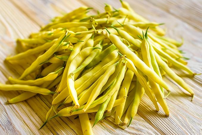 Top Notch Golden Wax Bush Beans - 100 Count Seed Pack - Easy Plants to Grow & Care for- Country Creek LLC