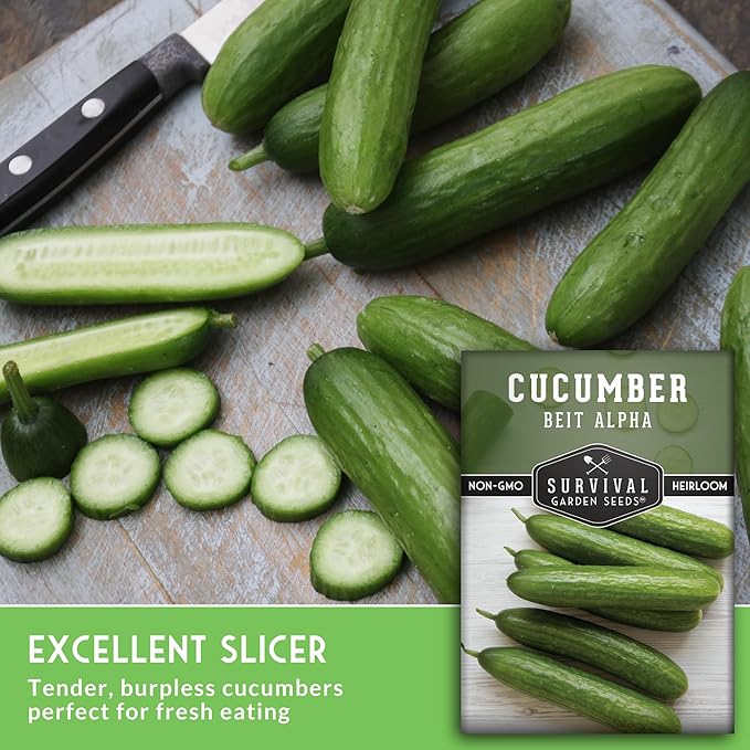 Beit Alpha Cucumber Seeds for Planting | Crisp Burpless Variety with Smooth Skin – Heirloom, Non‑GMO – Survival Garden Seeds (2 Packs)