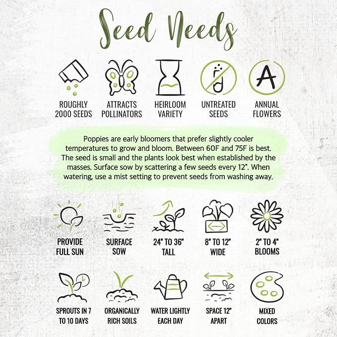 Seed Needs Mixed Peony Poppy Seeds for Planting - Heirloom & Open Pollinated - Colorful Mixture to Plant an Outdoor Butterfly Garden, Attracts Pollinators (5 Packs)