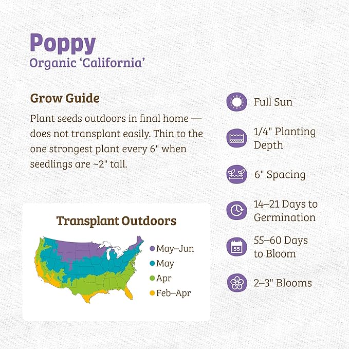 Back to The Roots 100% Organic Heirloom Seeds - Poppy Flower Value Pack (500mg Total)