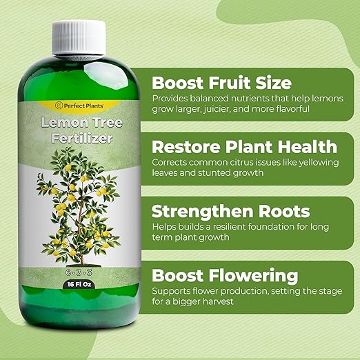 Liquid Lemon Tree Fertilizer by Perfect Plants | Citrus Plant Food for Fast Growth and Happy Live Lemon Trees | 6-3-3 Formula Rich in Nitrogen and Other micronutrients (16oz)
