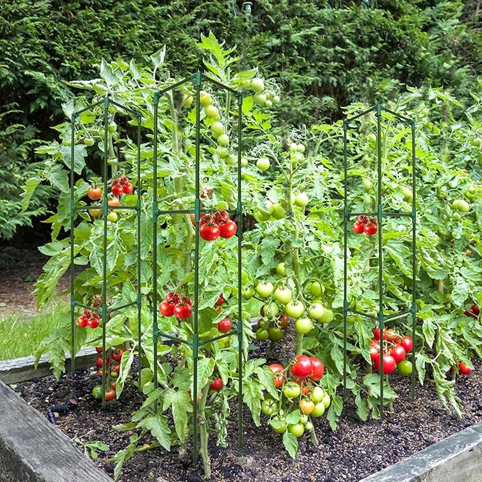 Tomato Cages for Garden,2 Pack 50in Tall Tomato Plant Support Stakes Adjustable Heavy Duty Steel Plant Tower Stakes, Updated Cucumber Trellis Garden Cages for Climbing Plants Vegetable Flowers