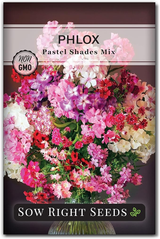 Sow Right Seeds - Pastel Shades Mixed Phlox Seeds for Planting - Beautiful Flowers to Plant in Your Home Pollinator Garden - Non-GMO Heirloom Seeds - Creeping Perennial with Pretty Flower Clusters (1)
