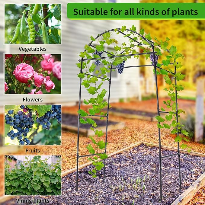 Cucumber Trellis, 6.7ft Tall Garden Arch Trellis for Climbing Plants Outdoor Arbor Support Vine Vegetable Tomato Bean Pea Grape Squash Pumpkin Cucumber Raised Bed, Lightweight, Black