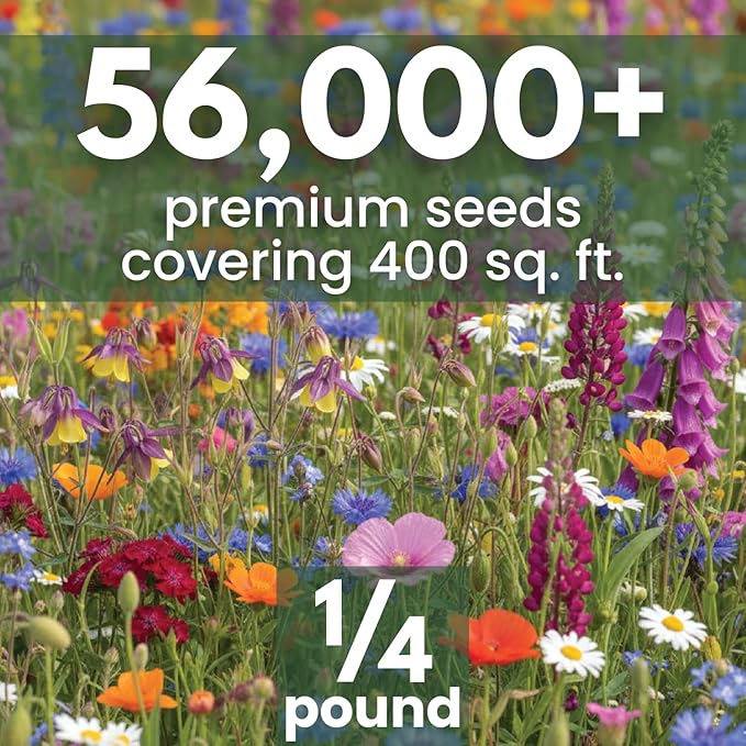 Shade Tolerant Mix – 56,000 Wildflower Seeds for Pollinator Gardens – 2026 Season – 4 Ounce Pouch