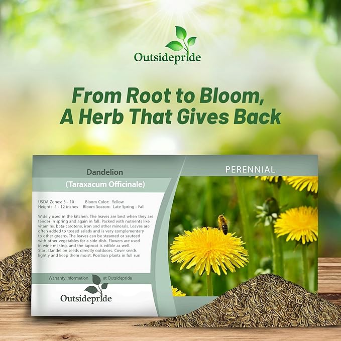Outsidepride Dandelion Seeds for Planting - 10,000 Seeds Perennial, Easy to Grow & Drought Tolerant, Taraxacum Officinale Herb Seeds with Yellow Blooms for Edible Landscaping & Wildlife Attraction
