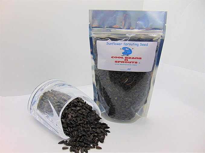 8 oz Sunflower Seeds for Sprouting Microgreens, A Rich Source of Vitamins and Minerals and Health-Promoting Nutrients! COOL BEANS N SPROUTS Brand, A Small Town Family Run USA Business.