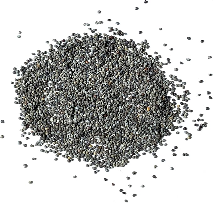 Seed Needs Hens & Chicks Poppy Seeds for Planting - Heirloom & Open Pollinated Annual Wildflowers - Beautiful Poppies to Attract Pollinators to a Butterfly Garden (5 Packs)