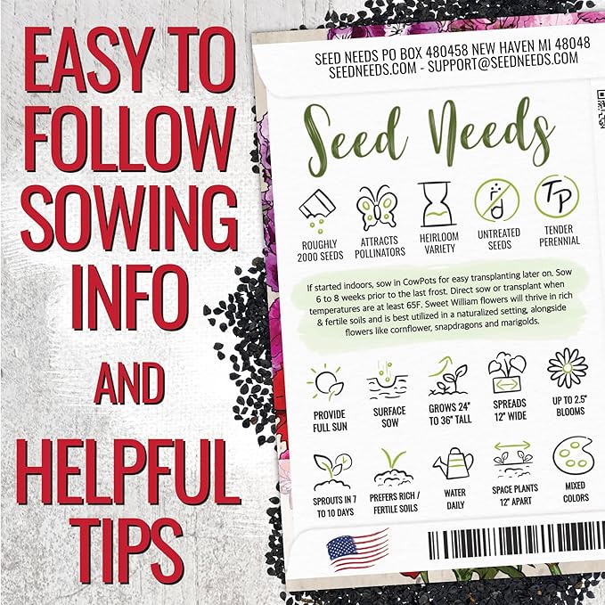 Seed Needs Sweet William Seeds for Planting Dianthus Flowers - Heirloom & Open Pollinated Annual Wildflower Seed Mix to Attract Butterflies, Bees & Other Pollinators to a Butterfly Garden (2 Packs)