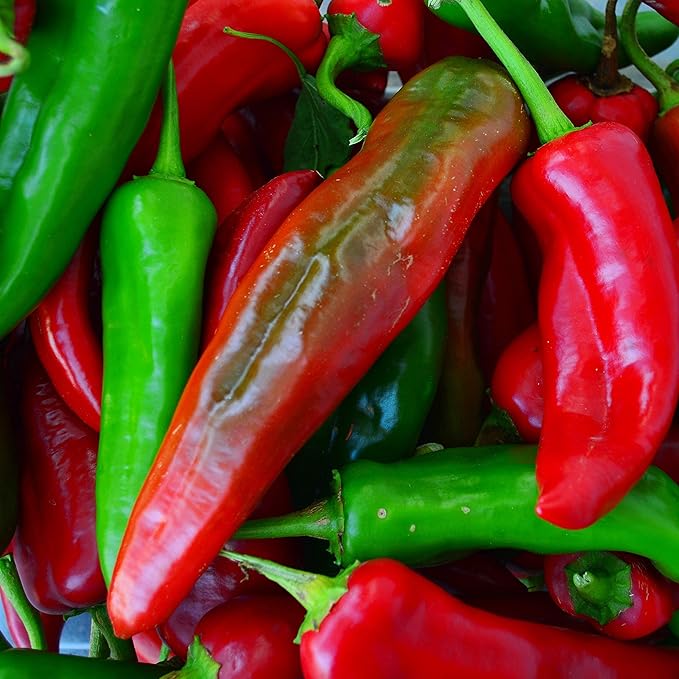 Numex Big Jim Pepper (Hatch Green Chile) - 25 Seeds - Heirloom & Open-Pollinated Variety, USA-Grown Chili Seeds, Non-GMO Vegetable Seeds for Planting Outdoors in The Home Garden, Thresh Seed Company