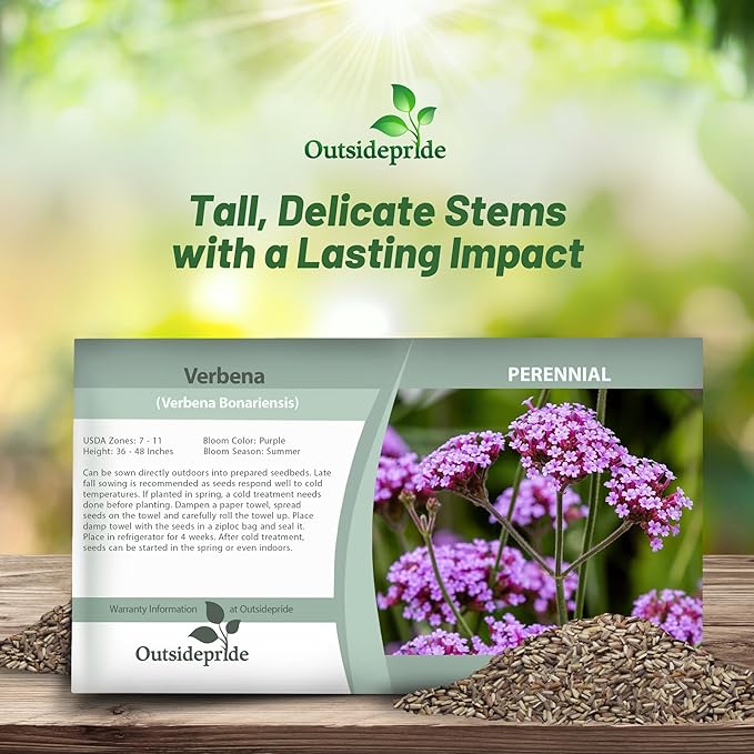 Outsidepride Purpletop Verbena Seeds for Planting - 10000 Pcs. Annual, Drought Tolerant & Easy to Grow, Ground Cover with Fragrant & Vibrant Blooms for Containers, Borders & Pollinator Gardens
