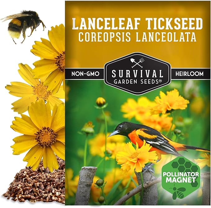 Native Lanceleaf Tickseed Seeds for Planting (Coreopsis Lanceolata) | Golden Yellow Blooms | Heat & Drought Tolerant Wildflower - Survival Garden Seeds - 1 Pack