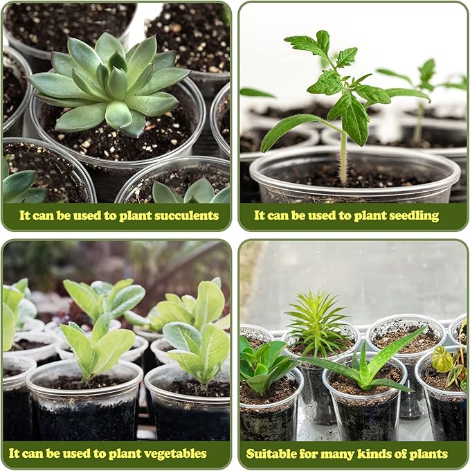RAOOKIF 25 Pack 3.5 Inch Clear Nursery Pots with Drainage Holes, Flexible Plastic Nursery Pots for Plants, Reusable Garden Flower Pot, Seed Starter Pots