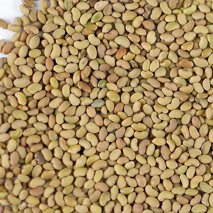 Certified Organic Alfalfa Sprouting Seed- 2.5 Lbs - Handy Pantry Brand - High Sprout Germination- Gardening, Growing Salad Sprouts, Planting, Food Storage & More