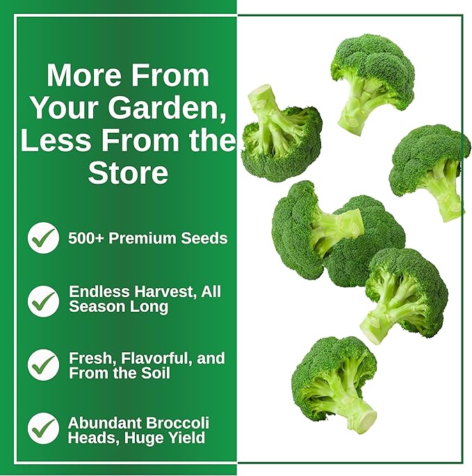 TKE Farms & Gardens - Waltham 29 Broccoli Seeds for Planting, 500+ Non-GMO Heirloom Seeds, Cold-Hardy Variety, Ideal for Fall & Winter Gardens, Easy Growing Instructions Included