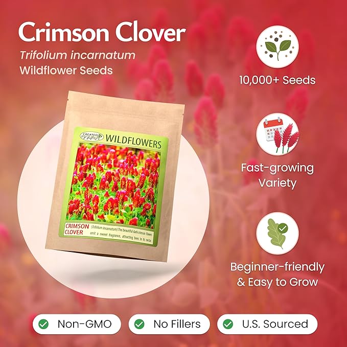 Created By Nature Crimson Clover Seeds, 10,000 Red Annual Wildflower Seeds