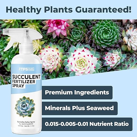 Succulent Fertilizer Spray – Fast-Acting Mist for Compact Growth & Vibrant Color (16 oz)
