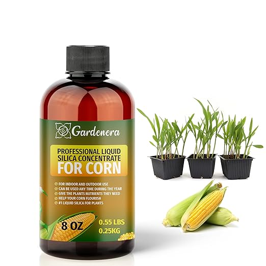 𝐏𝐑𝐄𝐌𝐈𝐔𝐌 Liquid Silica Plant Supplement - 8oz (250mL) - Corn Plants Liquid Silica Boost Fertilizer - Stronger Stems & Healthy Leaves for Indoor & Outdoor Corn Plants (Makes 45 Gallons)