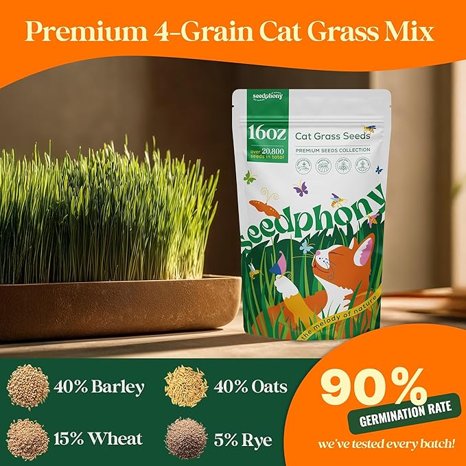 Seedphony Cat Grass Seed Mix – 16 oz Pack with 20,500 Non-GMO Heirloom Seeds for Cats, Barley, Oat, Rye & Wheatgrass for Indoor Growing, Fresh Pet Grass for Digestion & Hairball Control