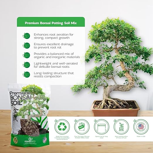 Bonsai Soil Mix Ready to use Tree kit Lotus Seeds for Planting in Water Bonsai pots Wire Tree pots akadama Soil 2 oz Bag of Fertilizer Pellets Inside 2.4 Qts