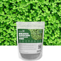 Groundio Mini White Clover Seeds 1LB, 4-6 inch Tall Perennial Dwarf Dutch Clover Trifolium Repens, Low-Maintenance, Ground Cover Small Green Leaf, Nitro Coated and Inoculated, USDA Zones 3-10