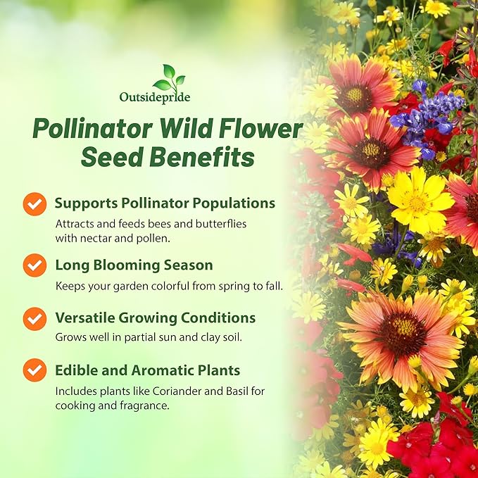 Outsidepride Pollinator Wildflower Seed Mix - 1 lb Flower Seeds for Attracting Pollinators, Ideal for All States, Enhances Garden Biodiversity, Supports Bees, Butterflies & Beneficial Insects
