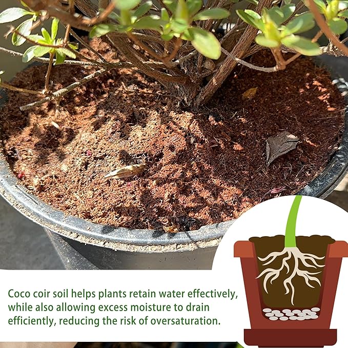 Coco Coir Brick for Organic Coconut Soil - 2 Pack With Low EC & PH Balance - High Expansion Fiber for Herbs & Flowers - Renewable Planting Medium