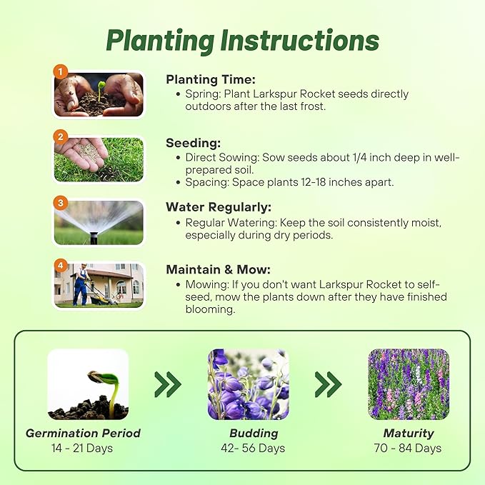 Outsidepride Mixed Rocket Larkspur Seeds for Planting Outdoors - 1000 Pcs Annual, Self-Seeding, Heat & Drought Tolerant Wildflower Seeds for Cut Flower Arrangements & Pollinator Gardens