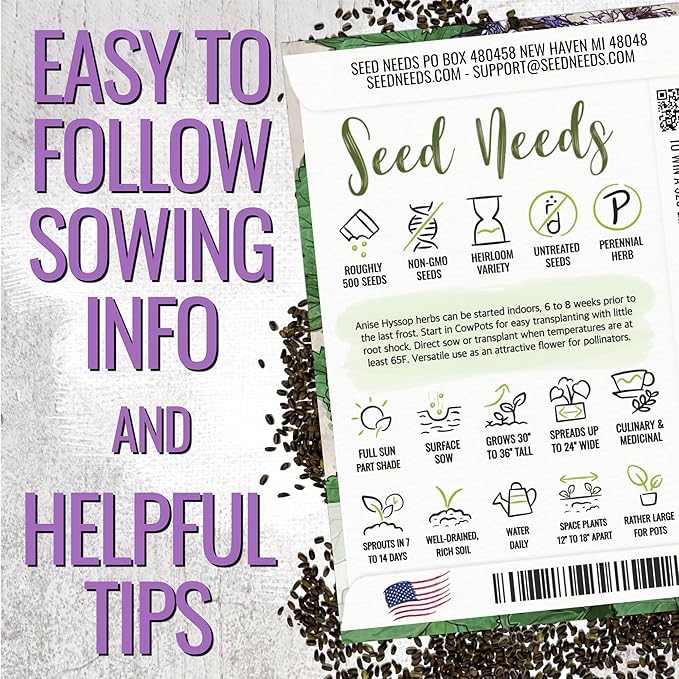 Seed Needs Anise Hyssop Seeds for Planting Agastache foeniculum - Non-GMO Heirloom & Untreated - Grow a Medicinal/Culinary Herb Garden for Tea & Essential Oils (5 Packs)