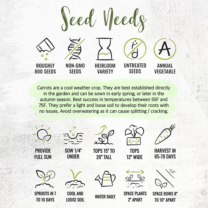 Seed Needs Carrot Seeds for Planting Rainbow Carrots - Non-GMO Heirloom & Untreated Veggie Seed to Grow a Home Grown Vegetable Garden in Fall or Spring (5 Packs (4,000 Seeds))
