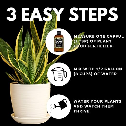Lush Leaf | Plant Food (Snake Plant)