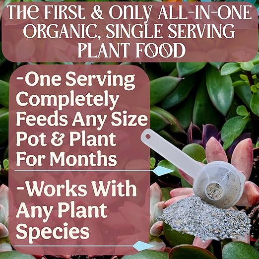 Grow Queen All-In-One Organic Succulent Fertilizer, Cactus Fertilizer, Succulent Plant Food, Bonsai & Cactus Food, 3 lb bag = 75 Single Servings, Fast & Slow Release feeds up to 300 plants for 8months